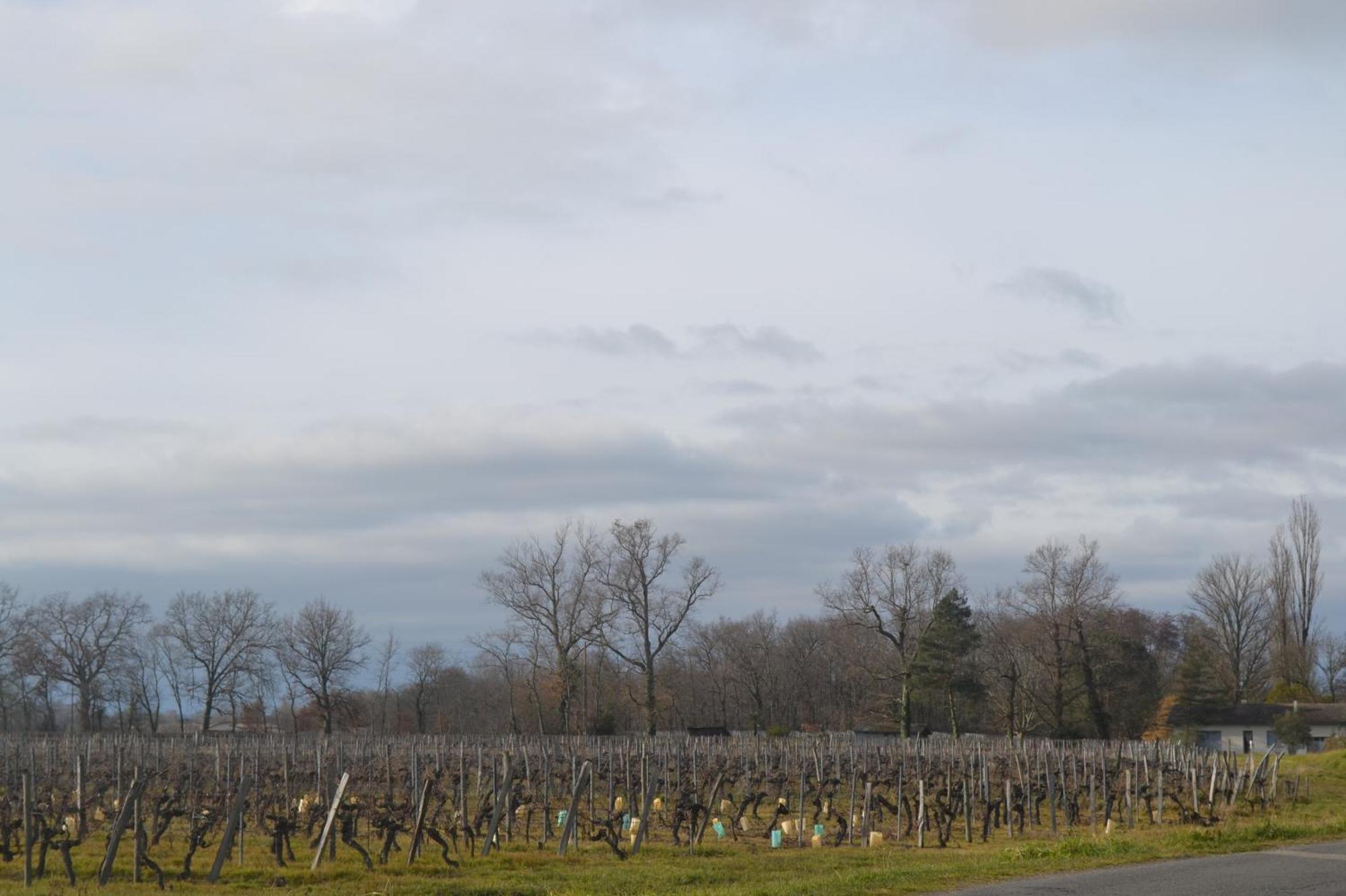 Maison Bertineau Proche Saint-Emilion Néac Eksteriør bilde